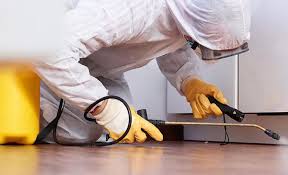 Best Termite Inspection and Treatment  in USA